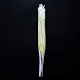 photo-2981757