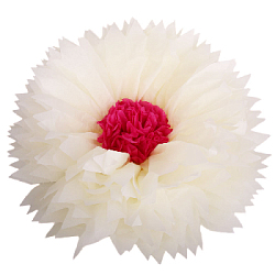 Бумажный цветок 50 см айвори+малиновый