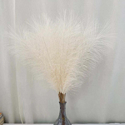 Пампасная трава 10 шт х 55 см, айвори