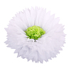 Бумажный цветок 40 см белый+салатовый