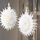 photo-2984313