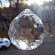 photo-2985871