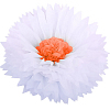 Бумажный цветок 50 см белый+оранжевый