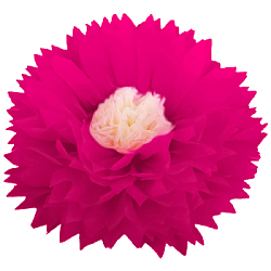 Бумажный цветок 50 см малиновый+айвори